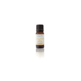 Eucalyptus Oil 10ml